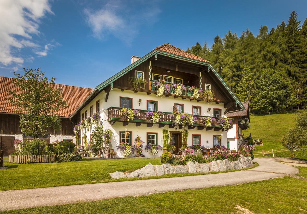 Wohlfuhlbauernhof Bambichlhof Farm stay *