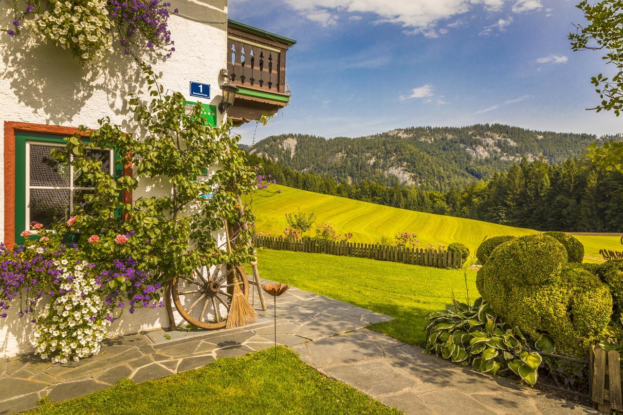 Farm stay Wohlfuhlbauernhof Bambichlhof *