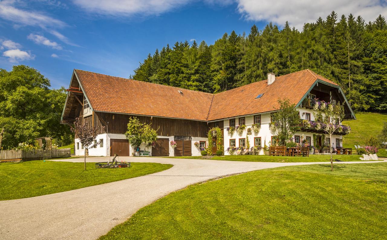 Farm stay Wohlfuhlbauernhof Bambichlhof Fuschl am See