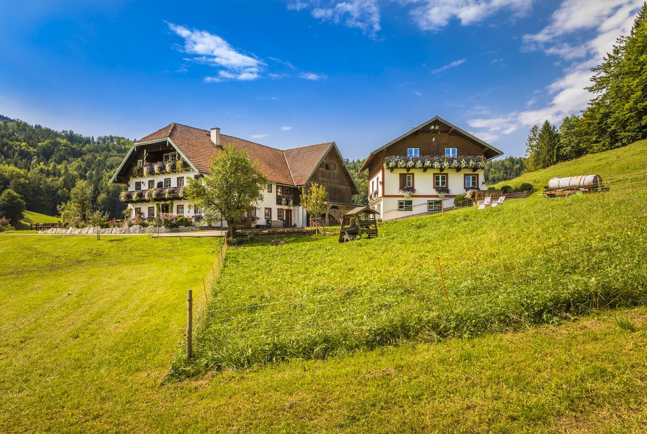 Wohlfuhlbauernhof Bambichlhof Fuschl am See