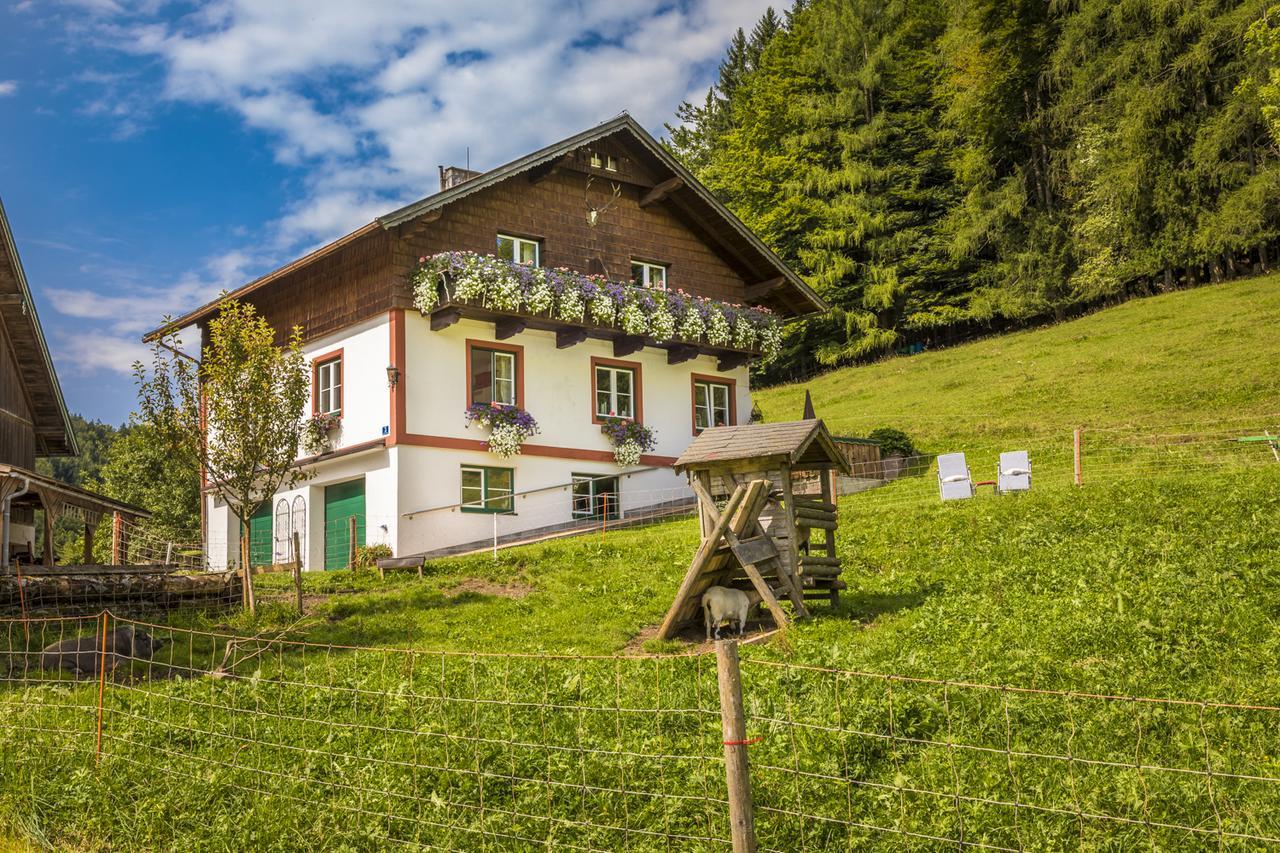 Wohlfuhlbauernhof Bambichlhof