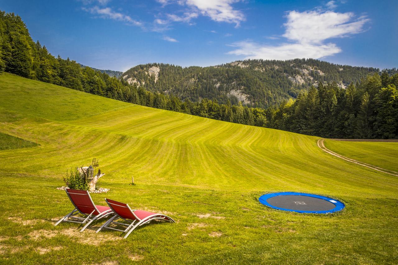 Farm stay Wohlfuhlbauernhof Bambichlhof