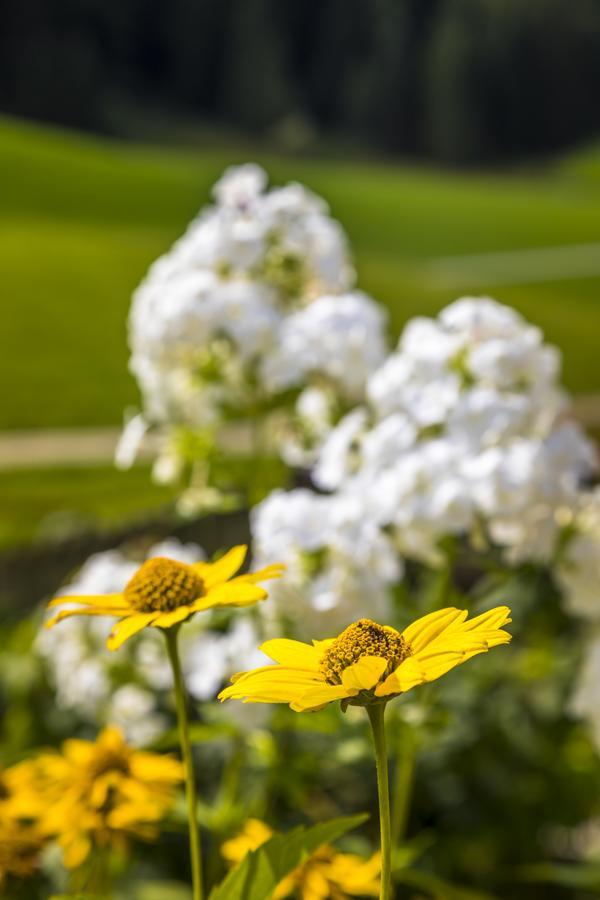 Farm stay Wohlfuhlbauernhof Bambichlhof *
