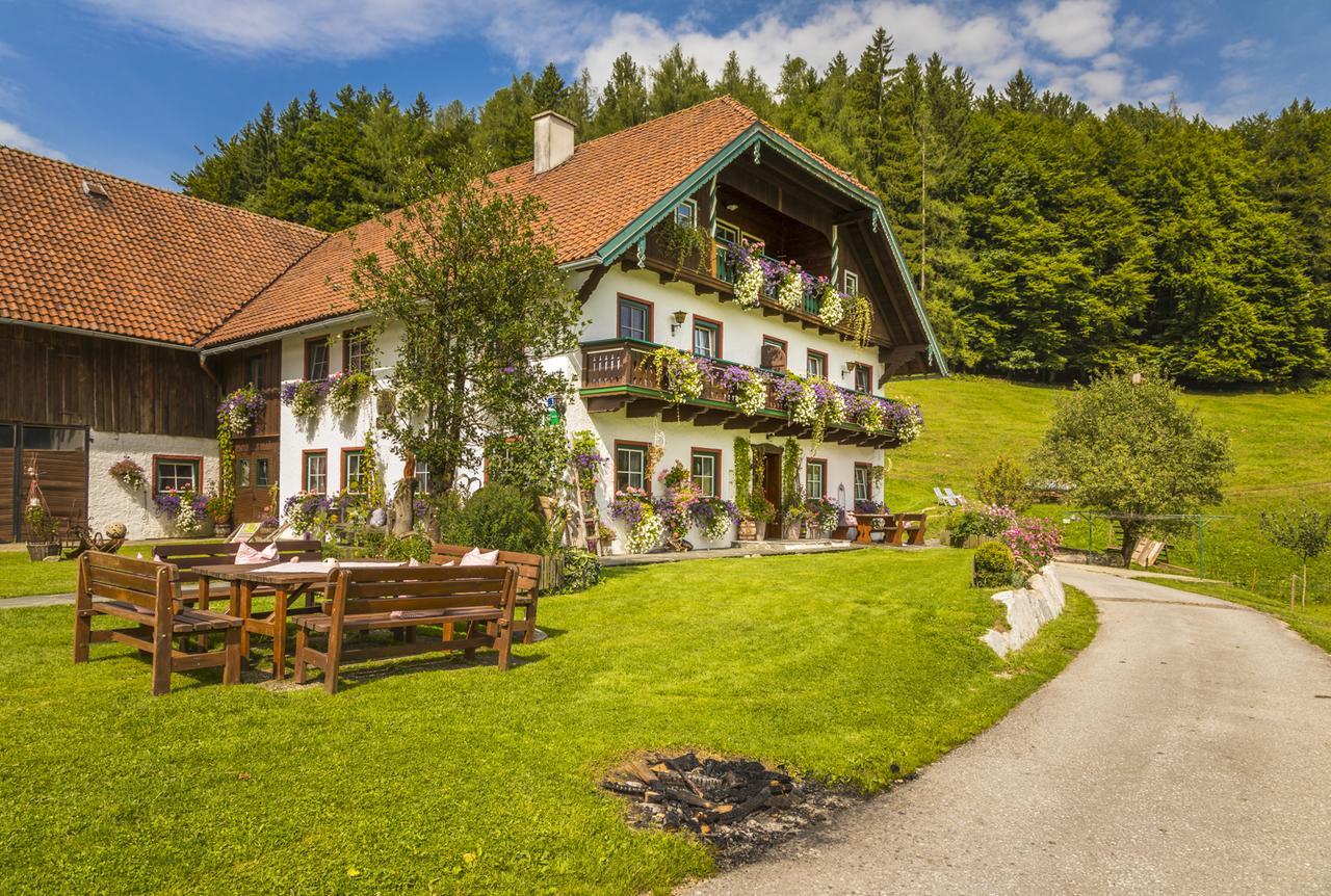 Wohlfuhlbauernhof Bambichlhof * Fuschl am See
