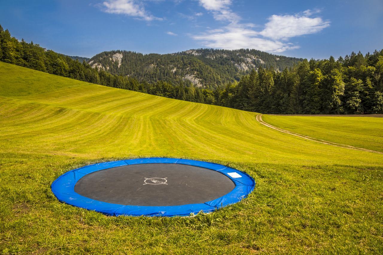 Farm stay Wohlfuhlbauernhof Bambichlhof *